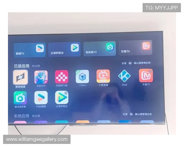 ds视讯app最新版本下载安装指南帮助用户快速上手体验高清流畅的直播娱乐